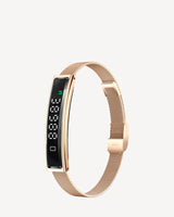 Golden + Steel Strap